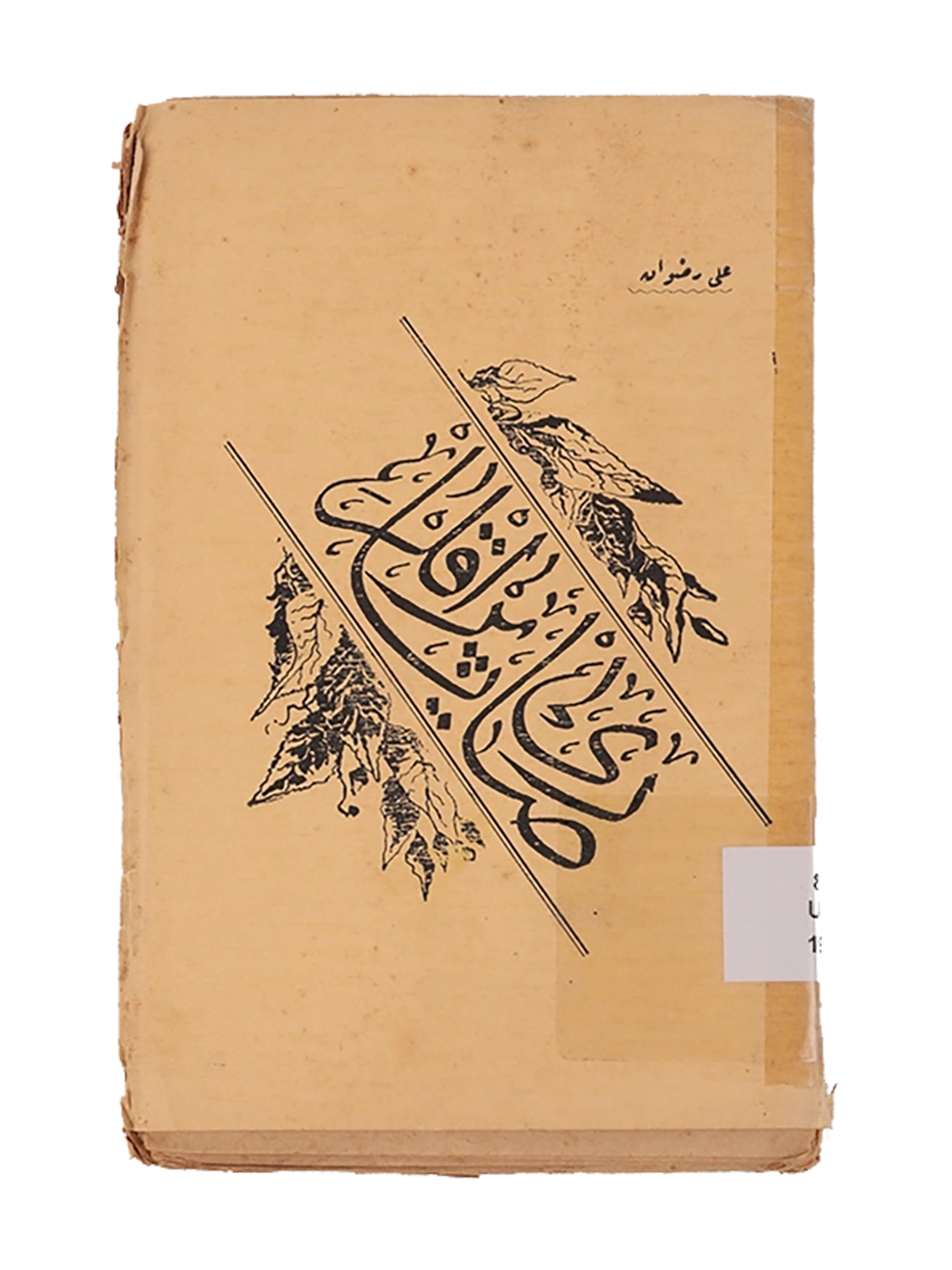 Kitap Fotoğrafı
